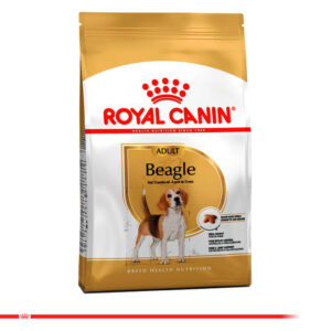 royal canin beagle adulto front