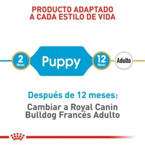 royal canin bulldog frances puppy desc1