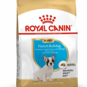 royal canin bulldog frances puppy front