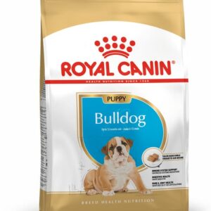 royal canin bulldog ingles puppy front