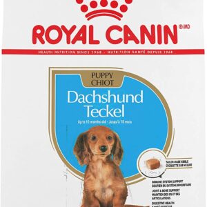 royal canin dachshund puppy front
