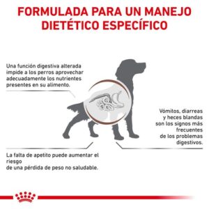 royal canin gastroentestinal beneficios
