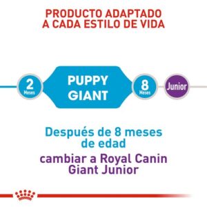 royal canin giant puppy beneficios2