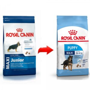 royal canin maxi puppy change