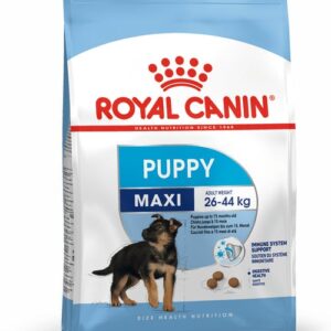 royal canin maxi puppy front