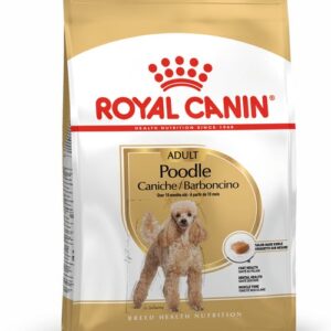 royal canin poodle front