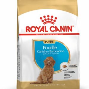 royal canin poodle puppy front
