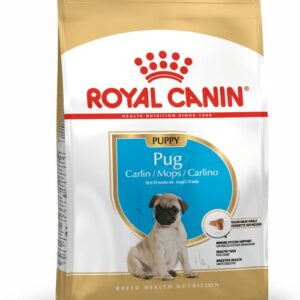 royal canin pug puppy front