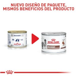 royal canin recovery perro y gato lata change