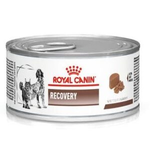 royal canin recovery perro y gato lata front