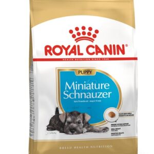royal canin schnauzer miniatura puppy front