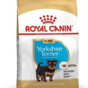 royal canin yorkshire terrier puppy front