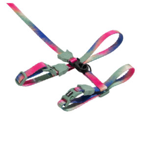 BLISS HARNESS WITH LEASH