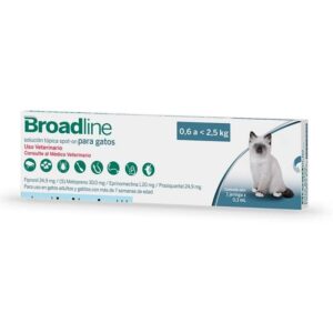 Broadline 06-25 kgato front