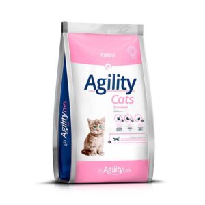 agility kitten front