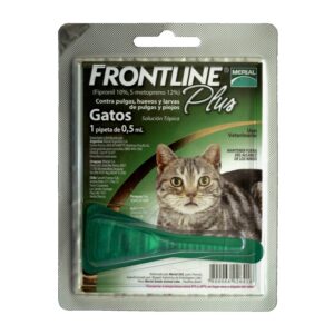 frontline plus gato front