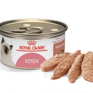 royal canin kitten lata front2