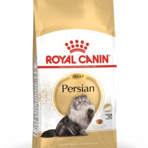 royal canin persian front gato