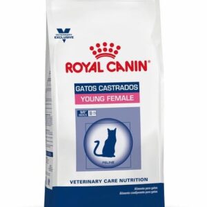 royal canin young female gato front