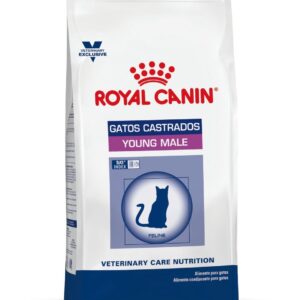 royal canin young male gato front