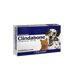 clindabone