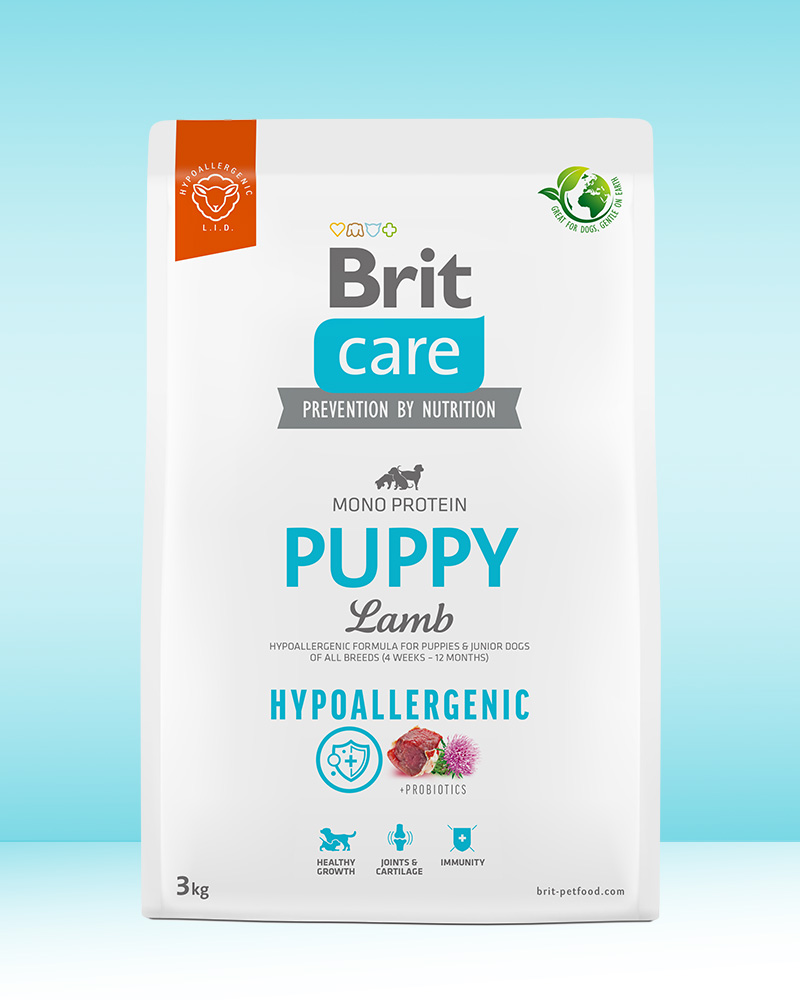 Brit Care Puppy Cordero 3K